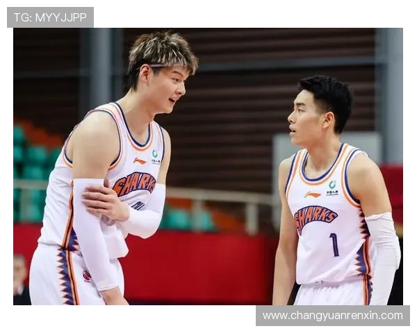 上海乒乓球队实力解析与发展前景探讨聚焦乒乓球运动的未来之路 上海乒乓球队实力解析与发展前景探讨聚焦乒乓球运动的未来之路