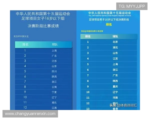 南京足球队实力强劲荣登全国足球实力排行榜第五名