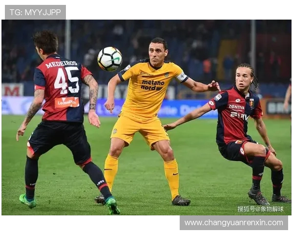 尼斯与雷恩激战正酣比赛结果揭晓精彩瞬间回顾与分析