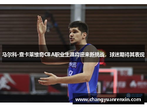 马尔科-查卡莱维奇CBA职业生涯将迎来新挑战，球迷期待其表现