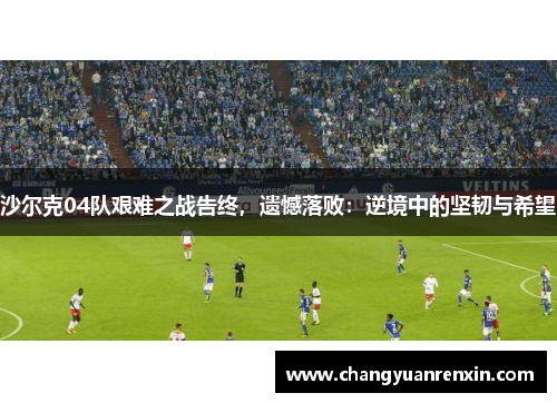 沙尔克04队艰难之战告终，遗憾落败：逆境中的坚韧与希望