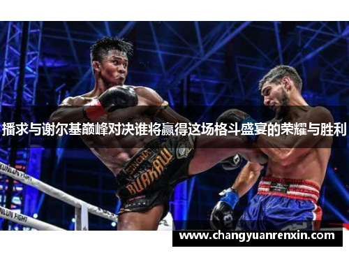 播求与谢尔基巅峰对决谁将赢得这场格斗盛宴的荣耀与胜利